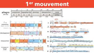 Beethoven  5ème Symphonie  Analyse 1er mouvement [upl. by Acirehs]