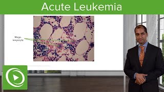 Acute Leukemia Etiology amp Subtypes – Pathology  Lecturio [upl. by Trixie]