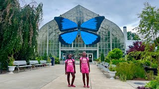 Krohn Conservatory  Cincinnati Ohio [upl. by Abocaj]