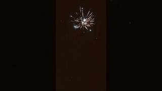 Har raat diwali hon gye🪔🪔✨✨ diwali crackers  enjoy 💕💕😎 [upl. by Yneffit39]