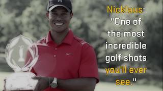 Tiger Woods Best Chip Shot Ever at Memorial 2012 [upl. by Firahs]