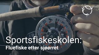 Sportsfiskeskolen  Sjøørretfiske med flue [upl. by Margit]