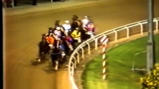 Harness RacingHarold Park04021984 Tiffs MysteryOGlendenning [upl. by Lustig139]