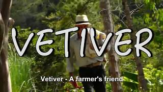 Vetiver System Vetiver  A Farmers Friend Spanish with English Subtitles [upl. by Esinrahs885]