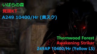 BDO  Thornwood Forest  Awakening Striker 249AP 10400Hr Yellow LS [upl. by Costanza]