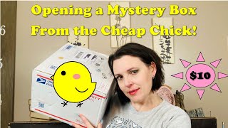 Opening a Junk Drawer Mystery Box from The Cheap Chick [upl. by Guntar]