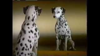 Purina One Commercial with Robert Urich [upl. by Hausmann]