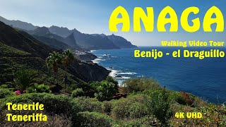 ANAGA Benijo  el Draguillo Walking Video Tour in 4K UHD  Tenerife Teneriffa  Anaga Mountains [upl. by Allisirp]