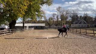 ODWA Turkey Trot Show 24449 Entry 4564 Western Dressage Into 3 [upl. by Cilurzo]