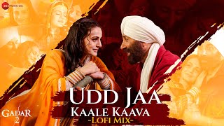 Udd Jaa Kaale Kaava  Lofi Version  Gadar 2  Sunny D Ameesha  Mithoon DJ Raahul Pai Deejay Rax [upl. by Hayouqes]