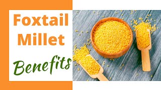 Foxtail Millet राळं Benefits amp Simple Recipe  In Marathi [upl. by Eniamreg]