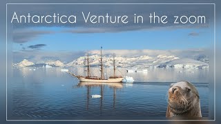 Antarctica expedition venture in the zoom [upl. by Esetal162]