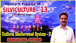 SILVICULTURE 13  The Uniform Shelterwood System II by Dr Bikram Singh [upl. by Persian337]