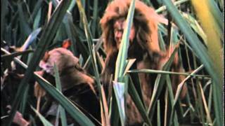 Willow Commercial Trailer 1988 Val Kilmer as Madmartigan [upl. by Ardnoel715]