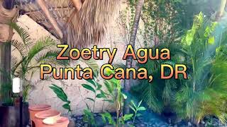 FULL WALKTHRU Zoetry Agua in Punta Cana DR Property tour including romantic Junior swimup suite [upl. by Engedus]