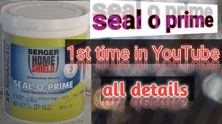 the best primer seal o prime Berger home shield primer RAINBOW PAINTERS amp damping solution [upl. by Yzzo]