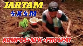 LOKASI 4 TIGA PUPUK DASAR UMTUK TANAM KAKAO [upl. by Fonz]