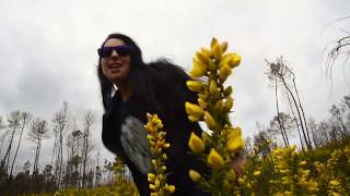 FLOW DO TOXO Video Oficial [upl. by Dnyletak670]