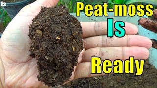 728 Peat Moss Ko Kis Trha Ready Karin  I Love Peat Moss  Acidic Soil [upl. by Indira346]