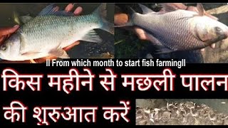 किस महीने से मछली पालन की शुरुआत करें ll From which month to start fish farming [upl. by Aienahs]