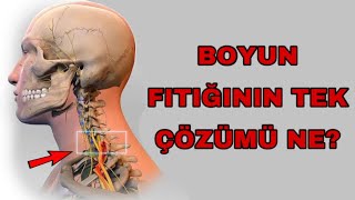 Fizyoterapistten Boyun fıtığı egzersizleri [upl. by Jennifer568]