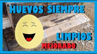 🥚Cómo hacer un PONEDERO PARA GALLINAS con NIDO RECOLECTOR DE HUEVOS 🐔EN BUSCA DEL MEJOR PONEDERO [upl. by Euqinemod]