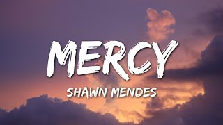 Shawn Mendes  Mercy Lyrics [upl. by Harutak]