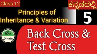 Class 12  Genetics ಕನ್ನಡದಲ್ಲಿ  05 [upl. by Akimaj]