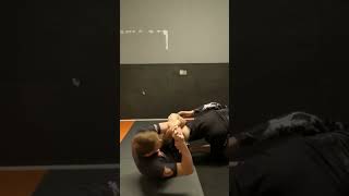 Leglocks toehold bjj jiujitsu mma grappling [upl. by Ahsyla]