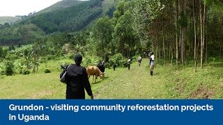 Grundon  Visiting community reforestation projects in Uganda [upl. by Duax]