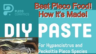 How to Make Pleco Ceramics Pleco Paste AquaMalik FishFood for ZebraPleco Hypancistrus Pleco [upl. by Mackey]