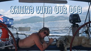 CRUISING LIFE with our German Shepherd dog  Life on a sailboat  Sailing Sunday Ep 20 [upl. by Naegem]