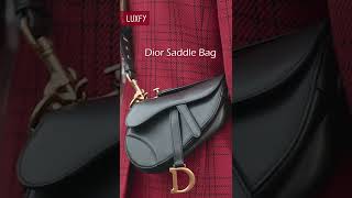 8 Dior Bags That Are Worth Collecting shorts [upl. by Nylave349]