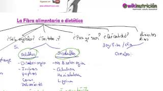 La fibra alimentaria o dietética  wikinutrición [upl. by Priebe]