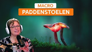 Tips voor het fotograferen van paddenstoelen  Zoomnl [upl. by Odo]