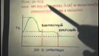 minhocultura video aula 5 de 8flv [upl. by Cima]