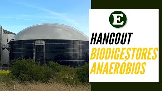 Hangout Biodigestores Anaeróbios [upl. by Aierbma]