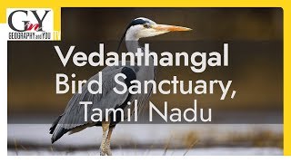 Vedanthangal Bird Sanctuary Tamil Nadu  Bird Sanctuary in Tamil Nadu [upl. by Gardel243]