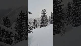 Forest skiing  Courchevel  French Alps [upl. by Sweatt]