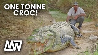 Matt Wright Feeds A Huge ONETONNE CROC called Tripod  Matt Wright [upl. by Amirak]