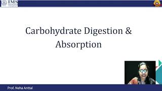 Carbohydrate Digestion and Absorption [upl. by Eelac]