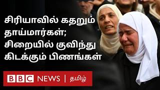 பிபிசி தமிழ் தொலைக்காட்சி செய்தியறிக்கை  BBC Tamil TV News 13122024 [upl. by Ormond]