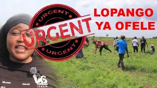 🚨🚨🚨 ZUA LOPANGO YA OFELE MENKAO TOMBE [upl. by Jem868]