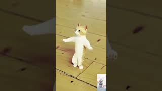 Cat dance aicatdance dog catdancevideo funny funnyclips funnyshorts [upl. by Yllil13]