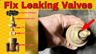 Fix Leaking Water Valve  Packing Nut Tips amp Tricks [upl. by Enayr]