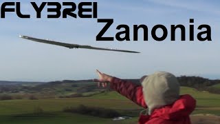 Zanonia wieder ohne Finnen  RC Glider [upl. by Yrailih]