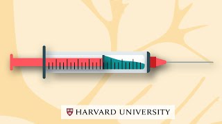 How mRNA vaccines work [upl. by Terrill]