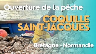 Coquille SaintJacques pêche saisonnière vertueuse et responsable [upl. by Trout]