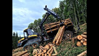 🌲 Ponsse Bison • PonsseWeek • Forwarder in Action • Forstarbeiten • Rückezug im Einsatz • 1🌲 [upl. by Kempe]