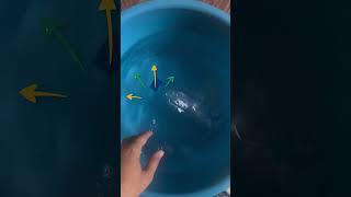 Buoyancy explained in an easy way  shorts science trending [upl. by Irwin]